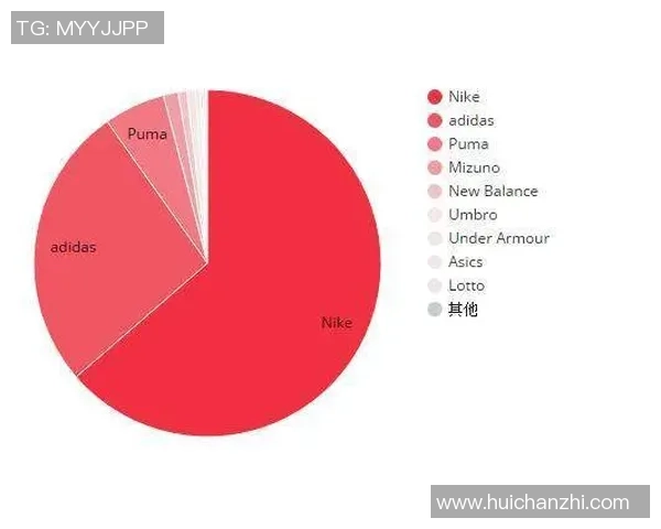 锤子足球明星背后的故事与成就揭秘 锤子足球明星背后的故事与成就揭秘